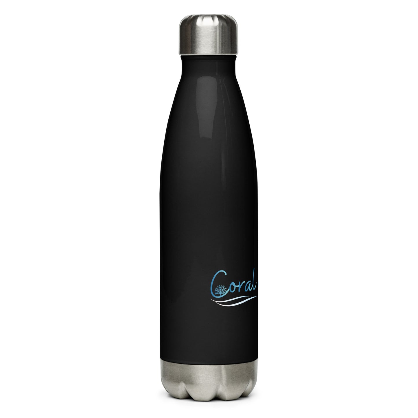 Stainless Steel Water Bottle